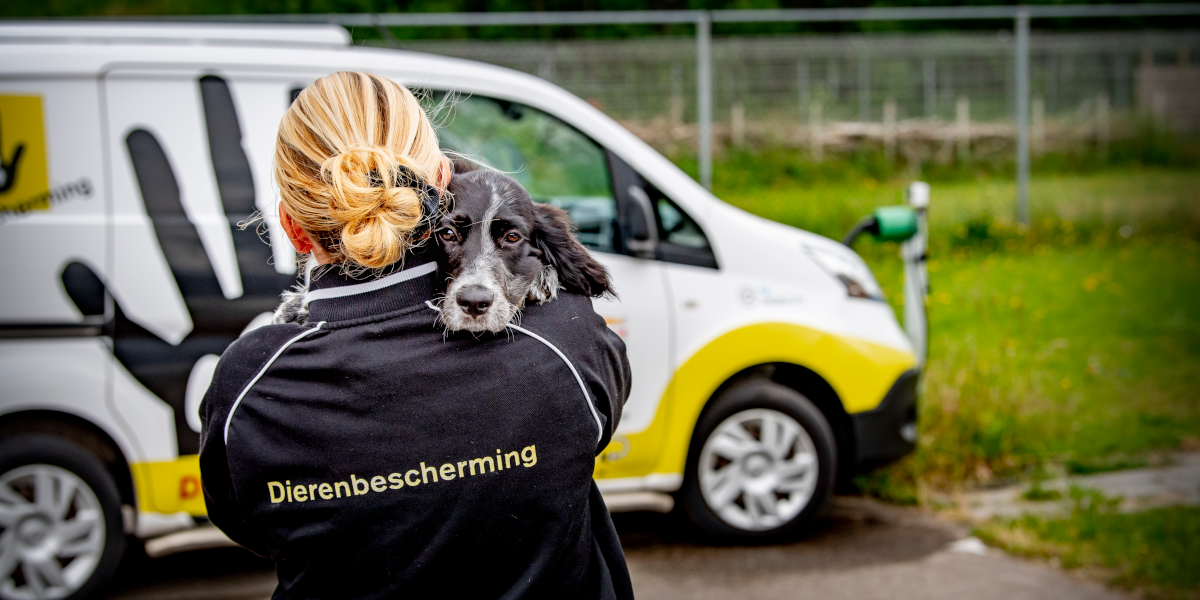 Dierenbescherming