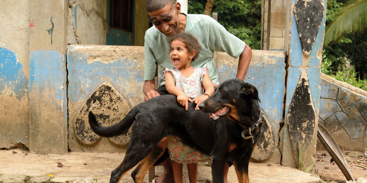 Gd Nl Dieren World Animal Protection